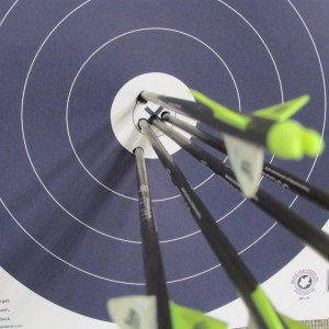 archery target