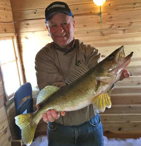The author with a fat 23-inch walleye taken on a firetiger Psycho Shad.