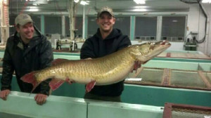 46-pound muskie taken from Big Spirit Lake.