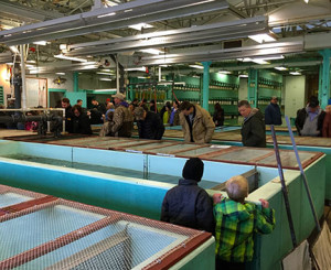People kept coming to the hatchery all weekend just to see the big walleyes and muskies. (photo by Steve Weisman)