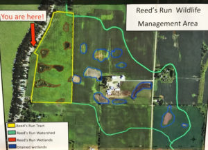 #2c-Reeds Run topography