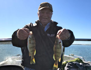 (photo by Curt Weisman) The author with two nice perch taken in the shallows on Big Spirit in late fall.